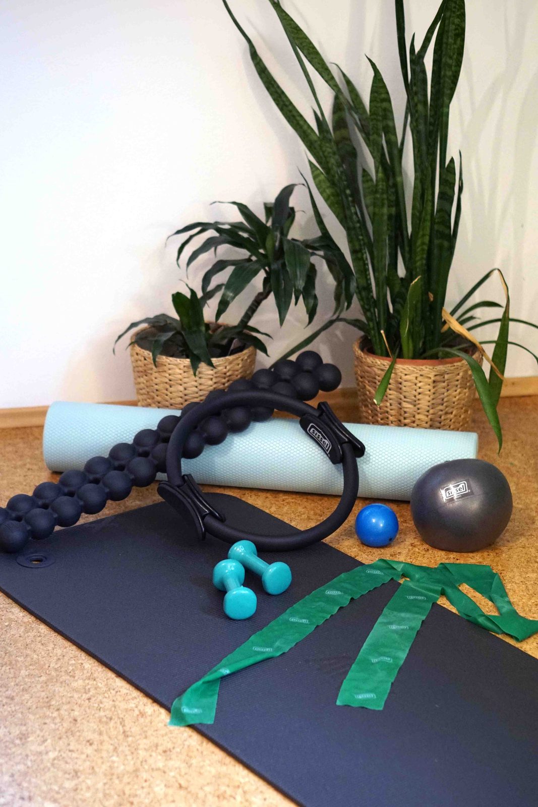 Kleingeräte im Studio: Rolle, Ring, Hanteln, Bänder und Ball
